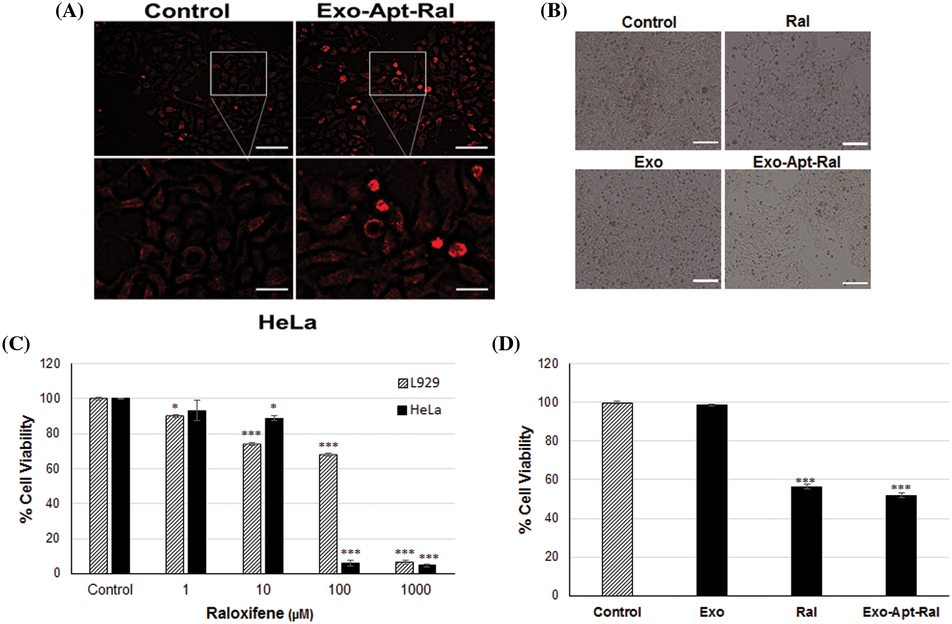 BIOCELL Free Full Text Raloxifene Loaded And Aptamer Bonded