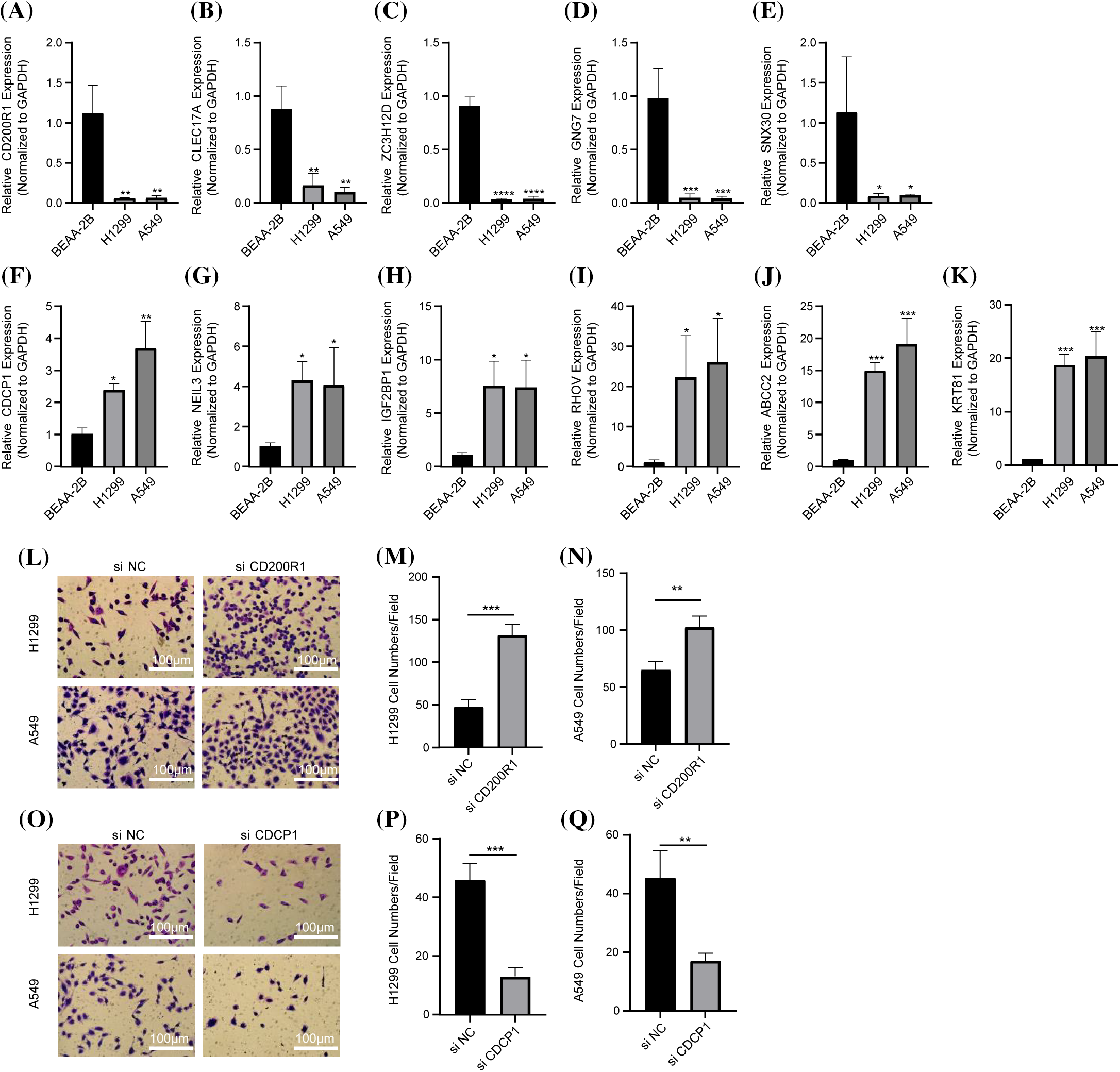 Biocell Free Full Text Identification Of Prognostic Molecular