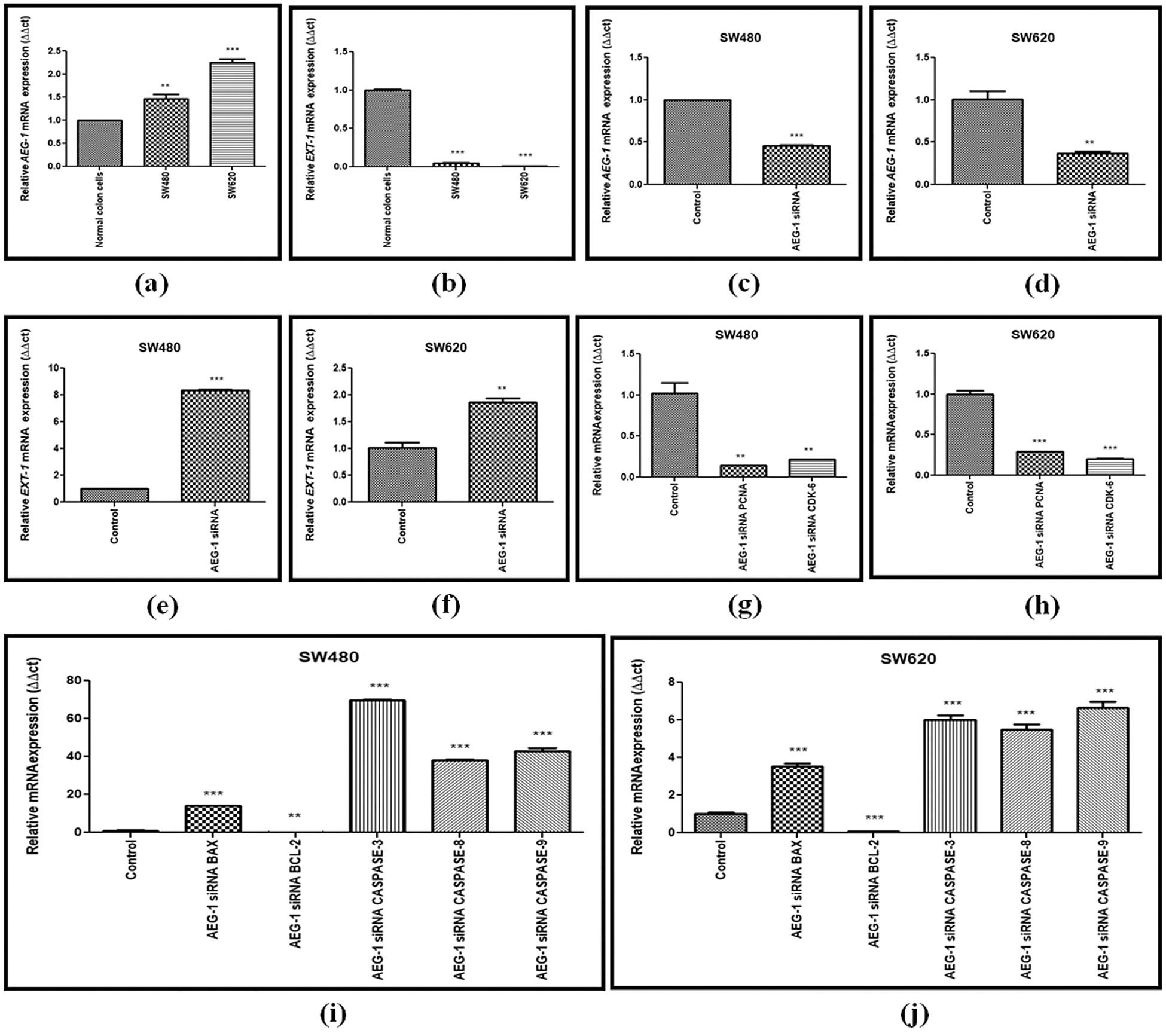 Silencing Of Astrocyte Elevated Gene Aeg Inhibits The