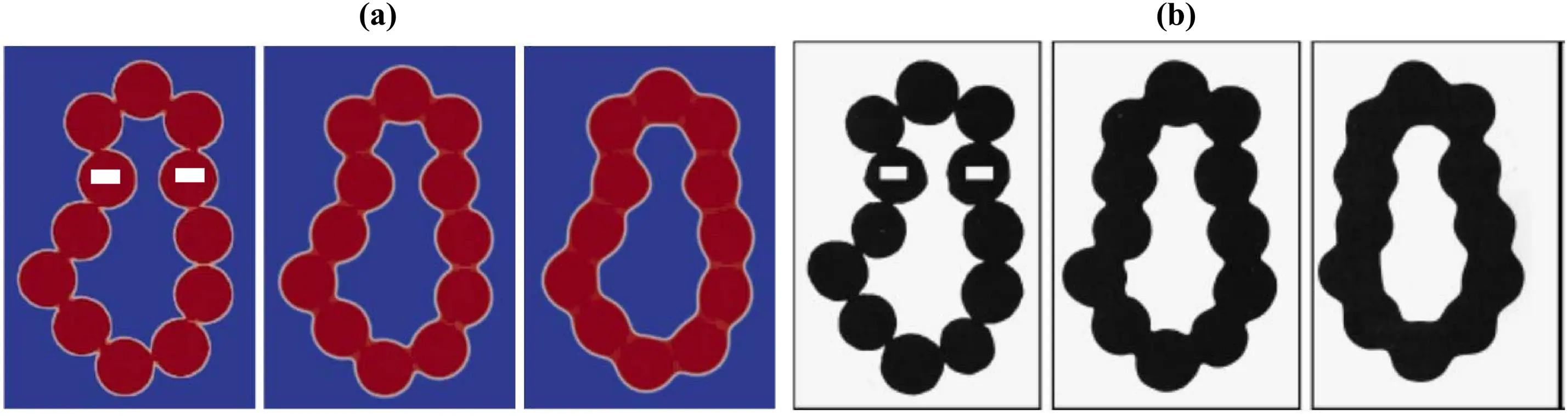 CMES | Free Full-Text | Phase-Field Simulation of Sintering Process: A ...