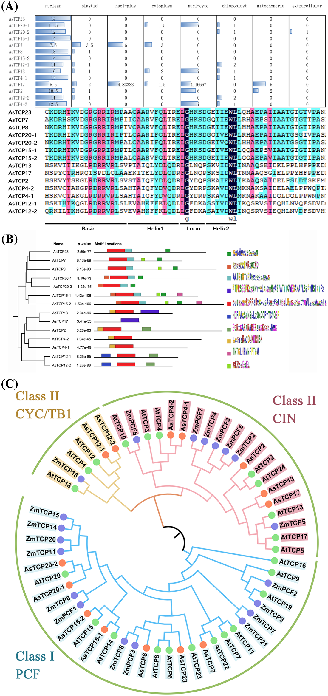 BIOCELL | Free Full-Text | Characteristics And Expression Of The TCP ...