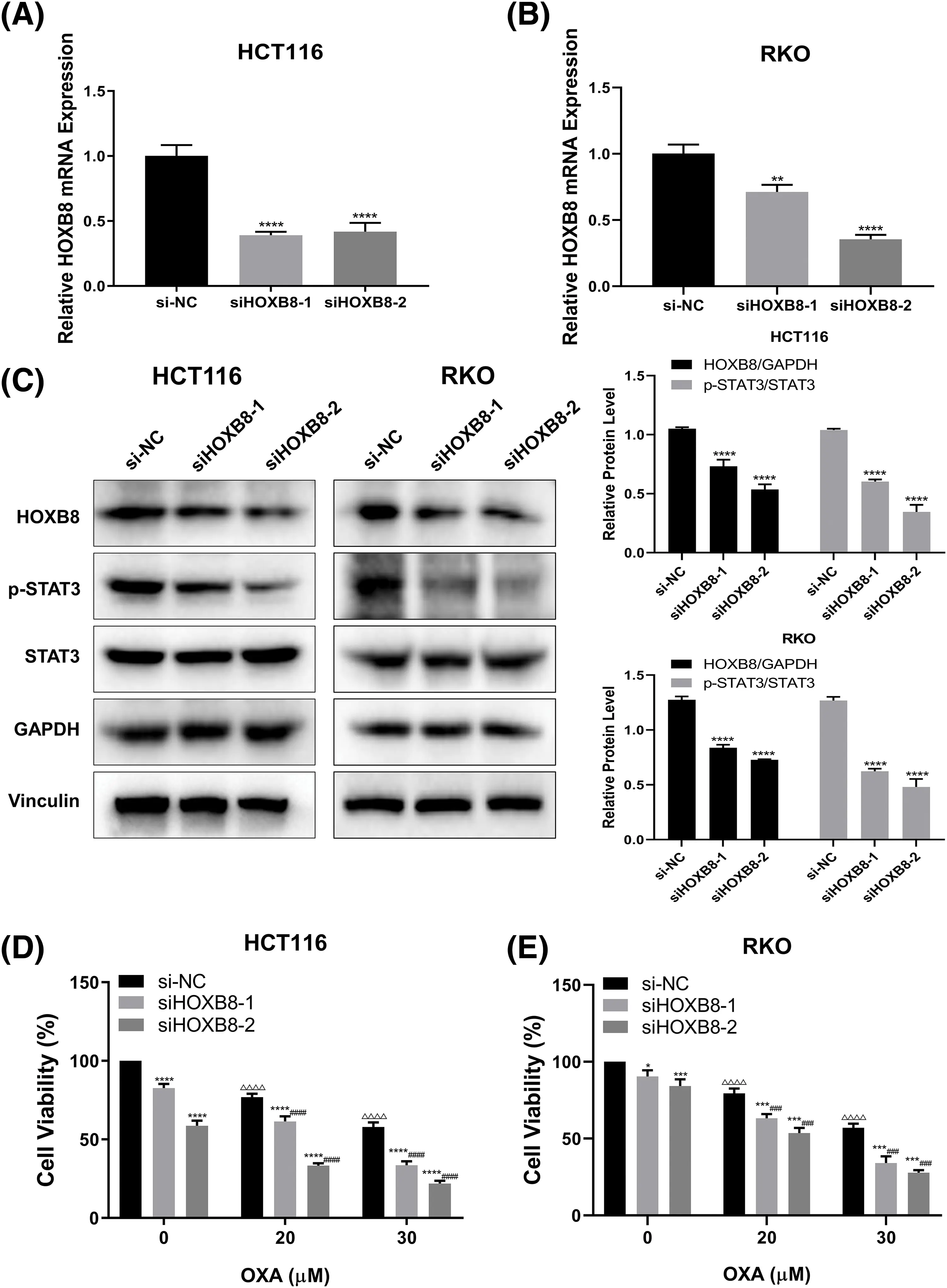 BIOCELL | Free Full-Text | HOXB8 contributed to oxaliplatin chemo ...