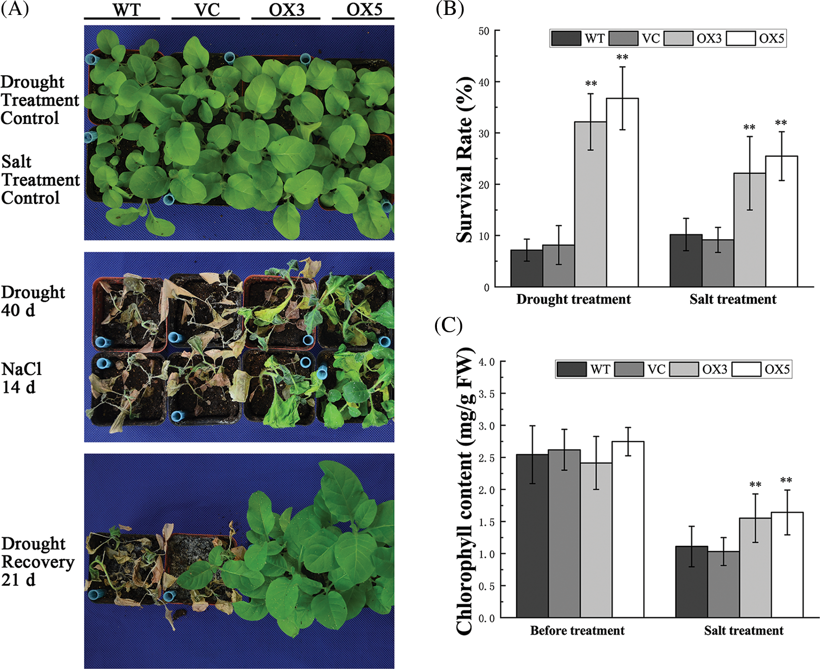 BIOCELL | Free Full-Text | A Brachypodium Distachyon Calcineurin B-like ...