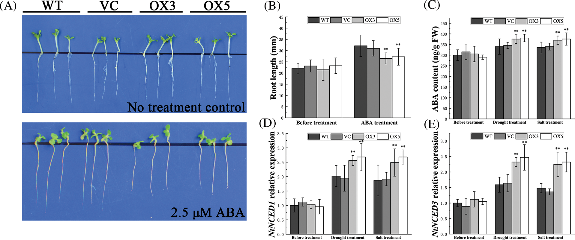 BIOCELL | Free Full-Text | A Brachypodium Distachyon Calcineurin B-like ...