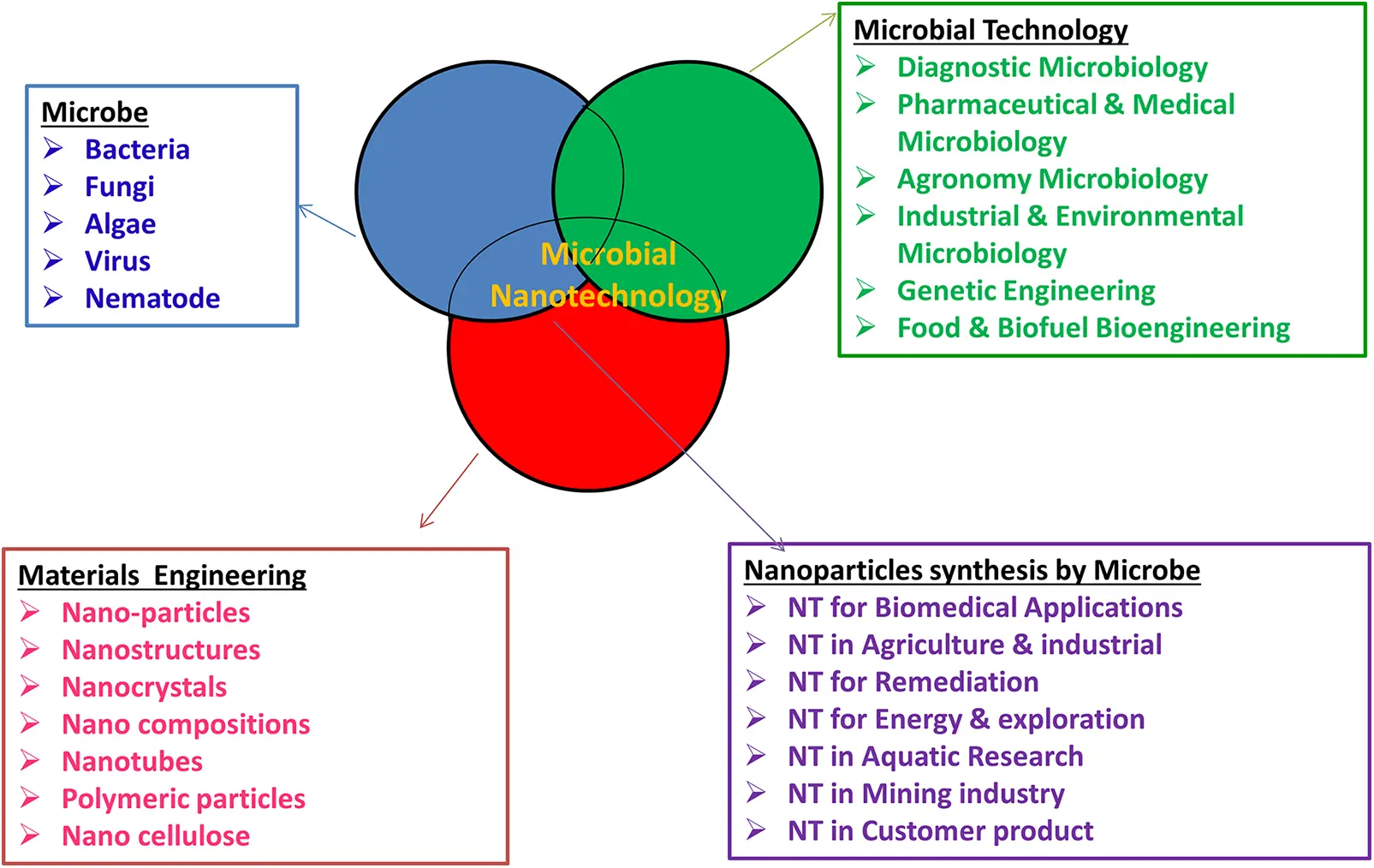 BIOCELL | Free Full-Text | Development of micro/nanostructured‒based ...