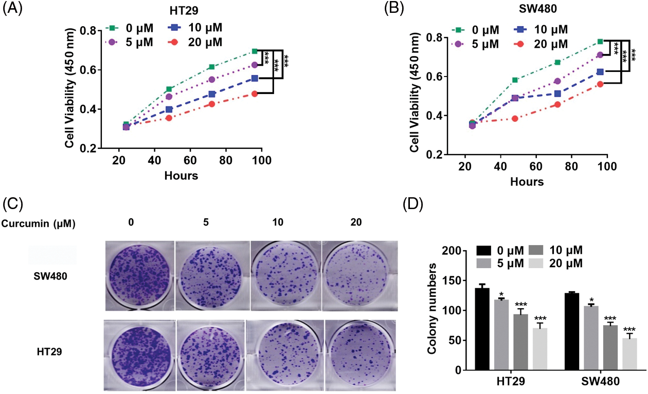 BIOCELL | Free Full-Text | Curcumin inhibits colorectal cancer ...