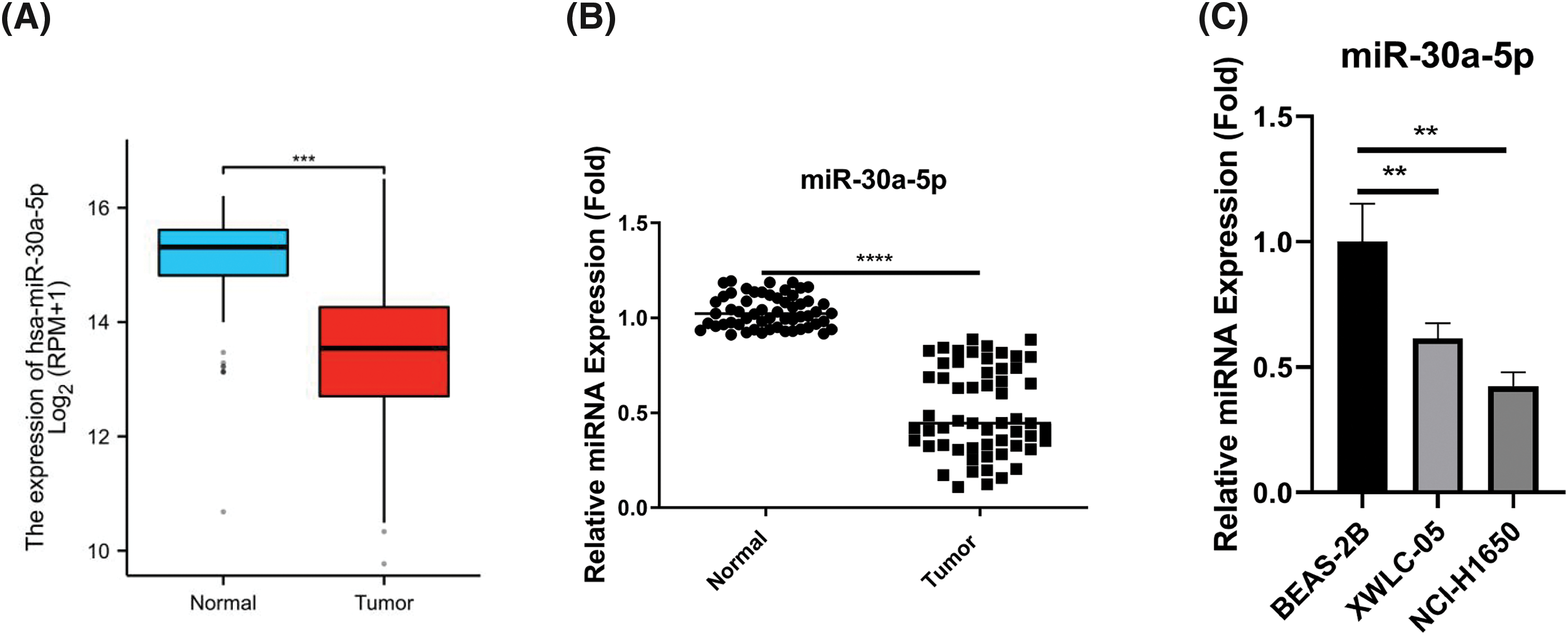 BIOCELL | Free Full-Text | miR-30a-5p/PHTF2 axis regulates the ...