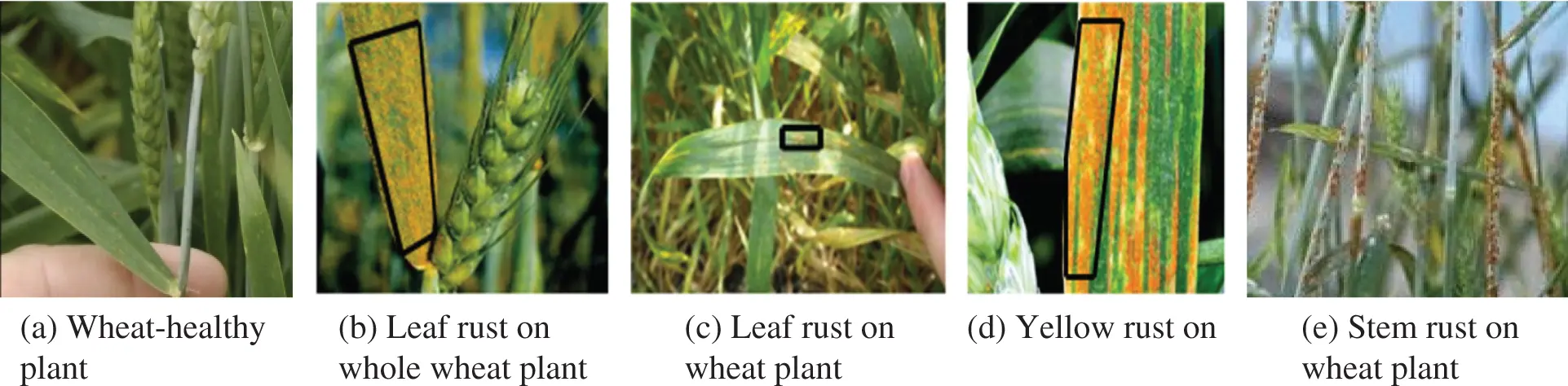 CMC | Free Full-Text | Fusion of Region Extraction and Cross-Entropy ...