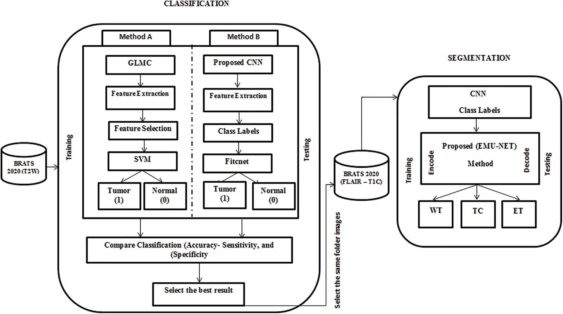 CMC | Free Full-Text | EMU-Net: Automatic Brain Tumor Segmentation and ...