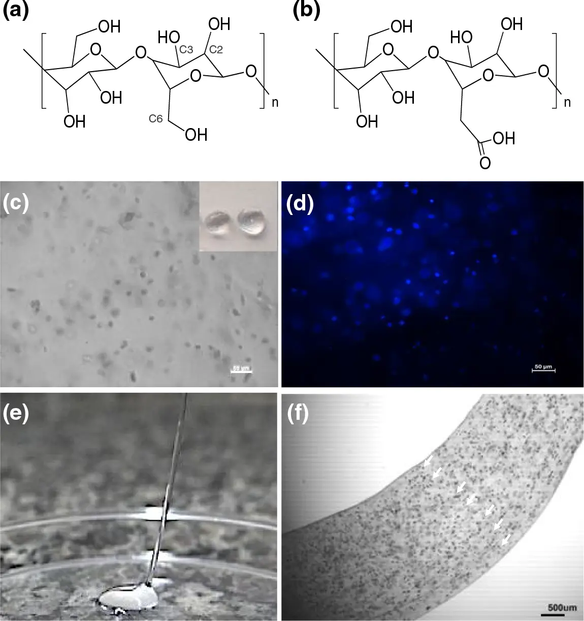 JRM | Free Full-Text | Renewable Polymers in Biomedical Applications ...