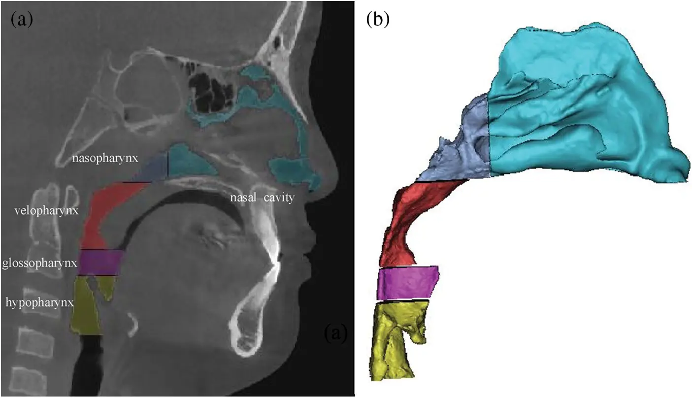 MCB Free FullText Computational Fluid Dynamics Analysis of Upper