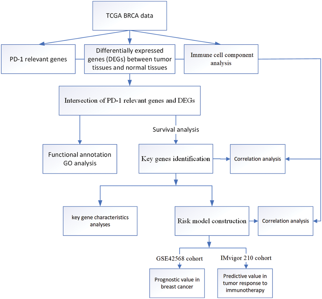 Oncologie 