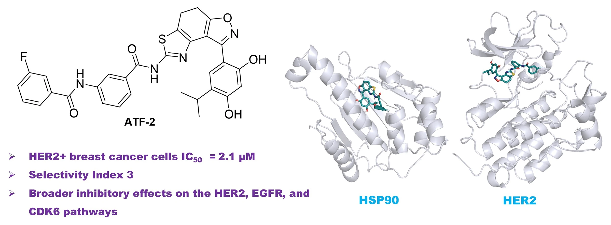 Targeting HER2-Positive HCC1954 Breast Cancer Cells by Novel Thiazole-Dihydrobenzisoxazoles: In-Depth Design, Synthesis and Initial <i>In Vitro</i> Study