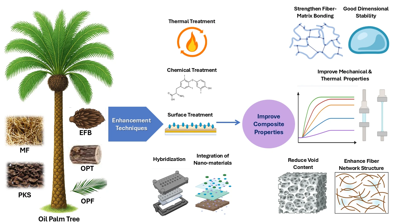 Enhancements in Oil Palm Fiber for Composite Material Development