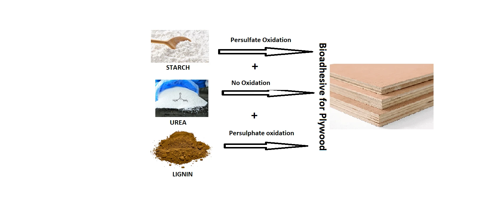 Plywood Bio-Adhesives by Oxidized Lignin Urea Bridged with Oxidized Starch