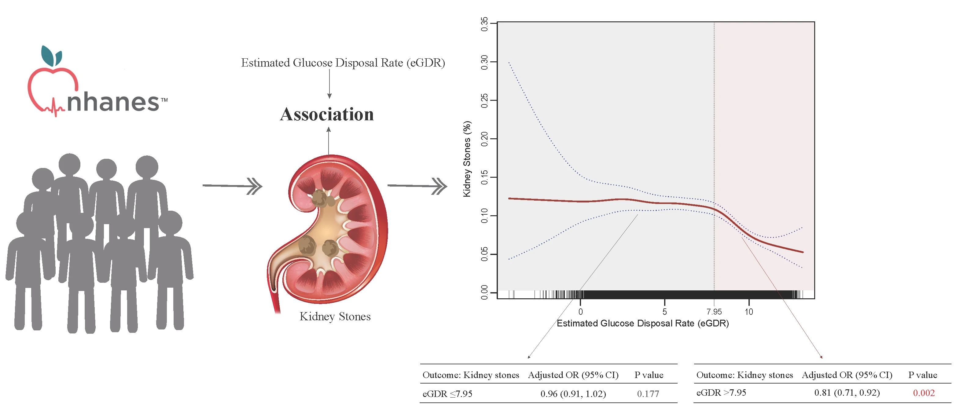 Nonlinear association between estimated glucose disposal rate and kidney stones: a cross-sectional study