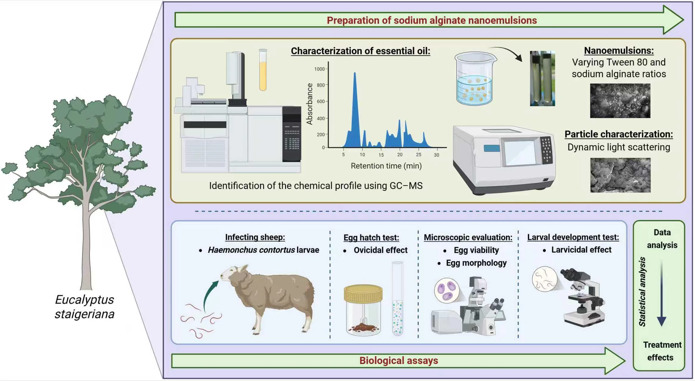 Sodium Alginate Nanoemulsions for the Delivery of <i>Eucalyptus staigeriana</i> Essential Oil: Production, Characterization, and Ovicidal and Larvicidal Effects against <i>Haemonchus contortus</i>