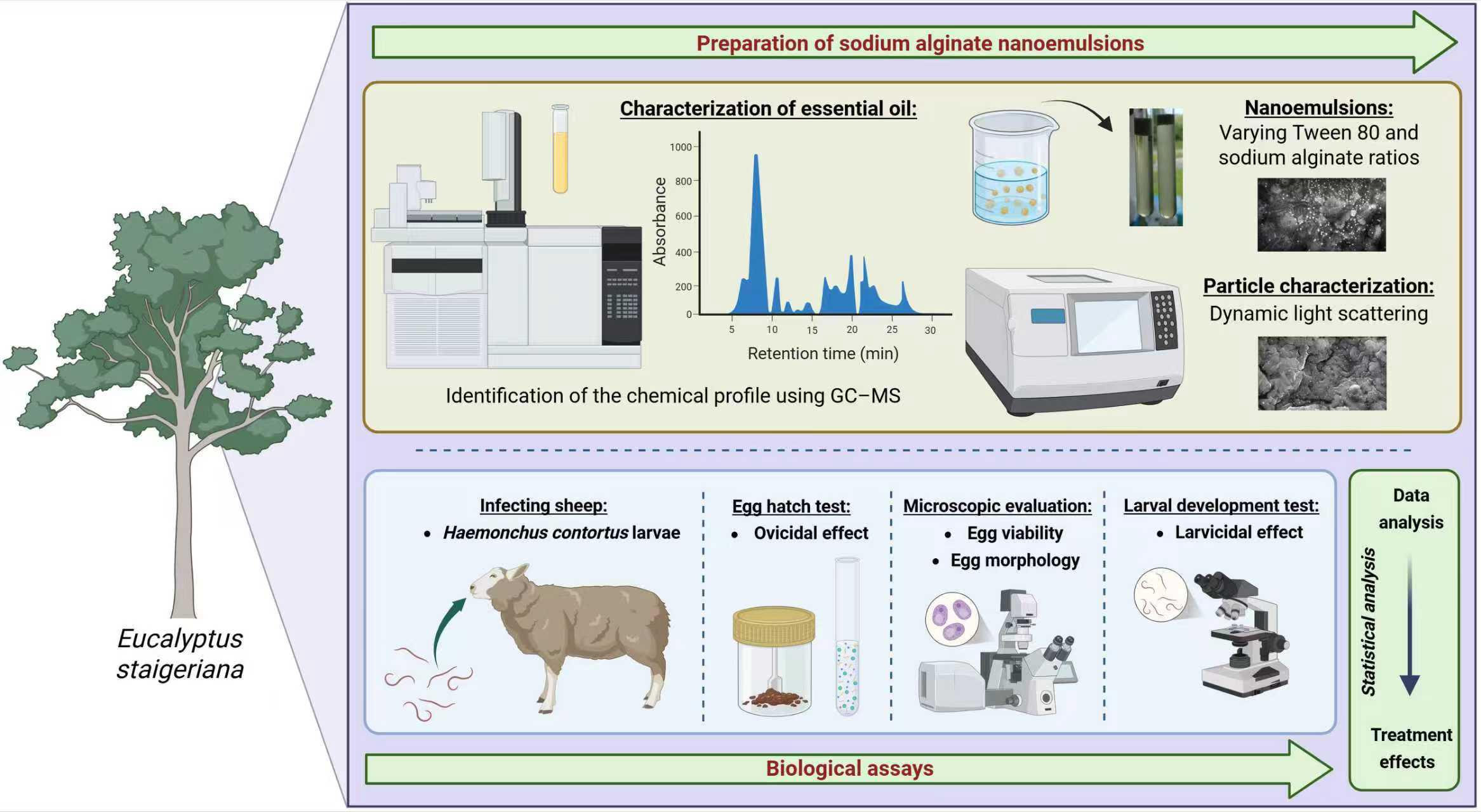 Sodium Alginate Nanoemulsions for the Delivery of <i>Eucalyptus staigeriana</i> Essential Oil: Production, Characterization, and Ovicidal and Larvicidal Effects against <i>Haemonchus contortus</i>