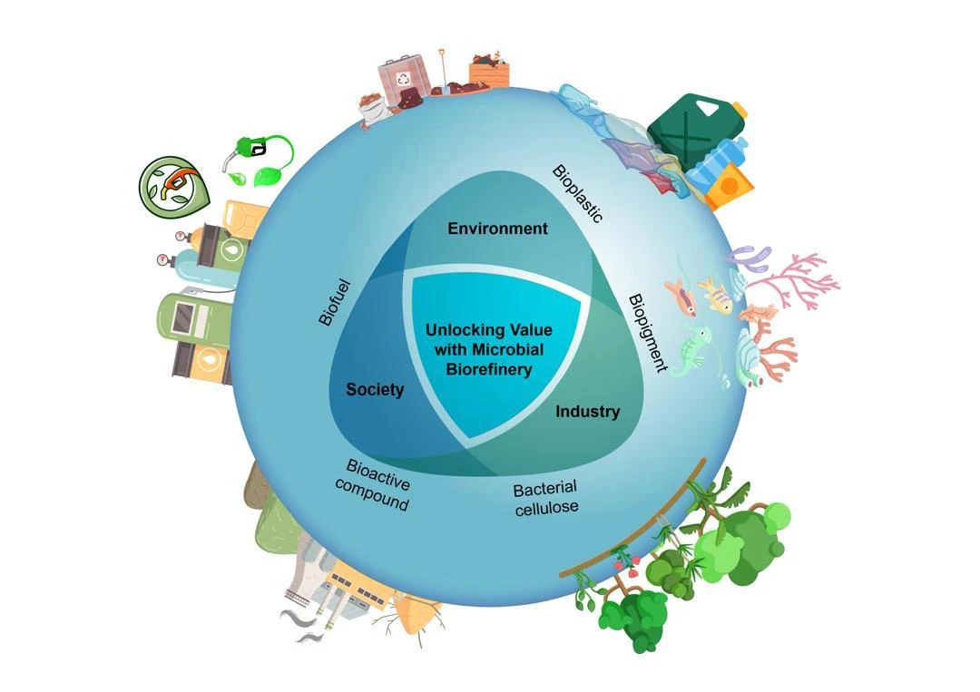 Bacterial Biorefineries: Transforming Agro-Industrial Waste into Sustainable Solutions for a Circular Bioeconomy