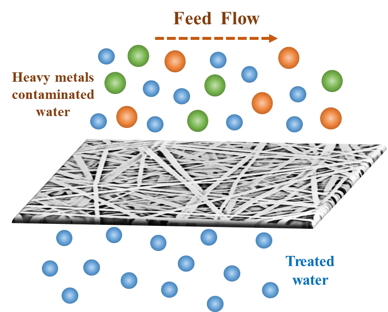 Performance Evaluation of Hierarchically Structured Superhydrophobic PVDF Membranes for Heavy Metals Removal via Membrane Distillation