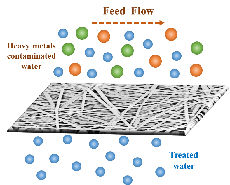 Performance Evaluation of Hierarchically Structured Superhydrophobic PVDF Membranes for Heavy Metals Removal via Membrane Distillation