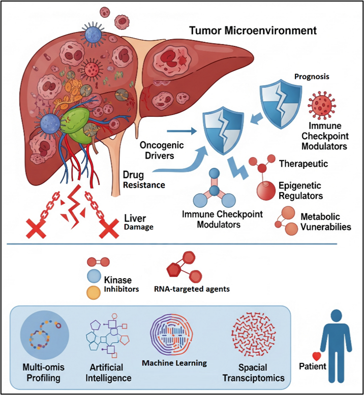Navigating the Labyrinth of Hepatocellular Carcinoma: Leveraging AI/ML for Precision Oncology