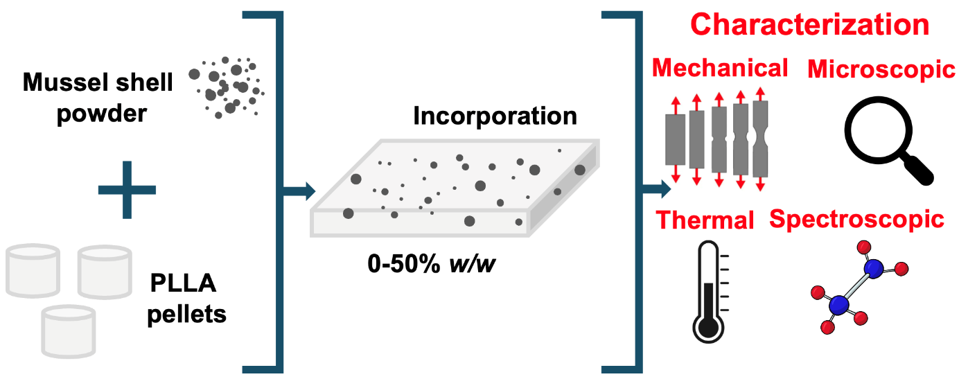 Mussel Shell Waste as a Bio-Filler in PLLA: Effects on Crystallization, Thermal and Mechanical Performance