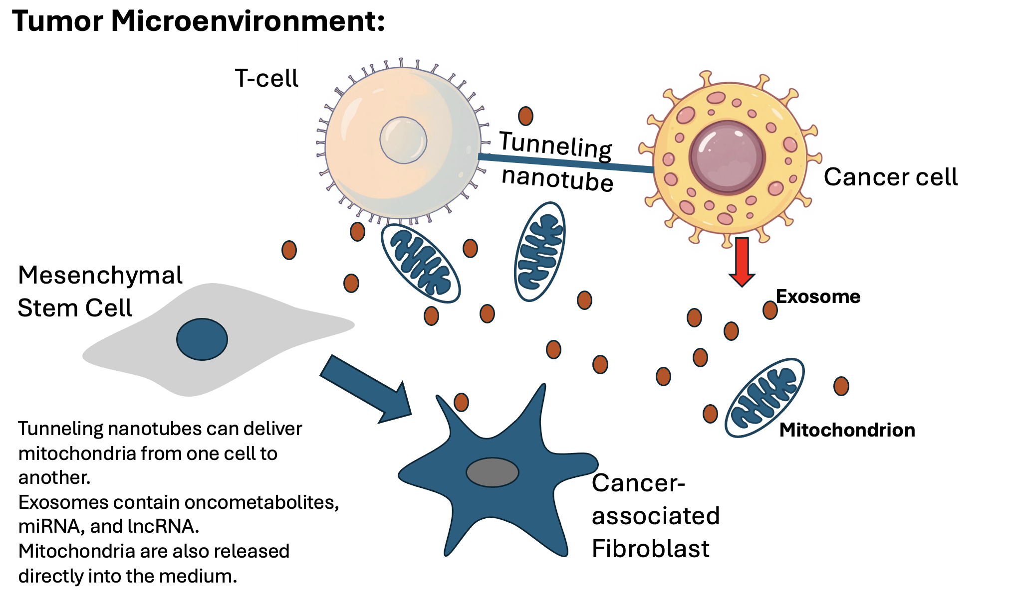Cancer, Deuterium, and Autophagy: A Complex Story Unraveled