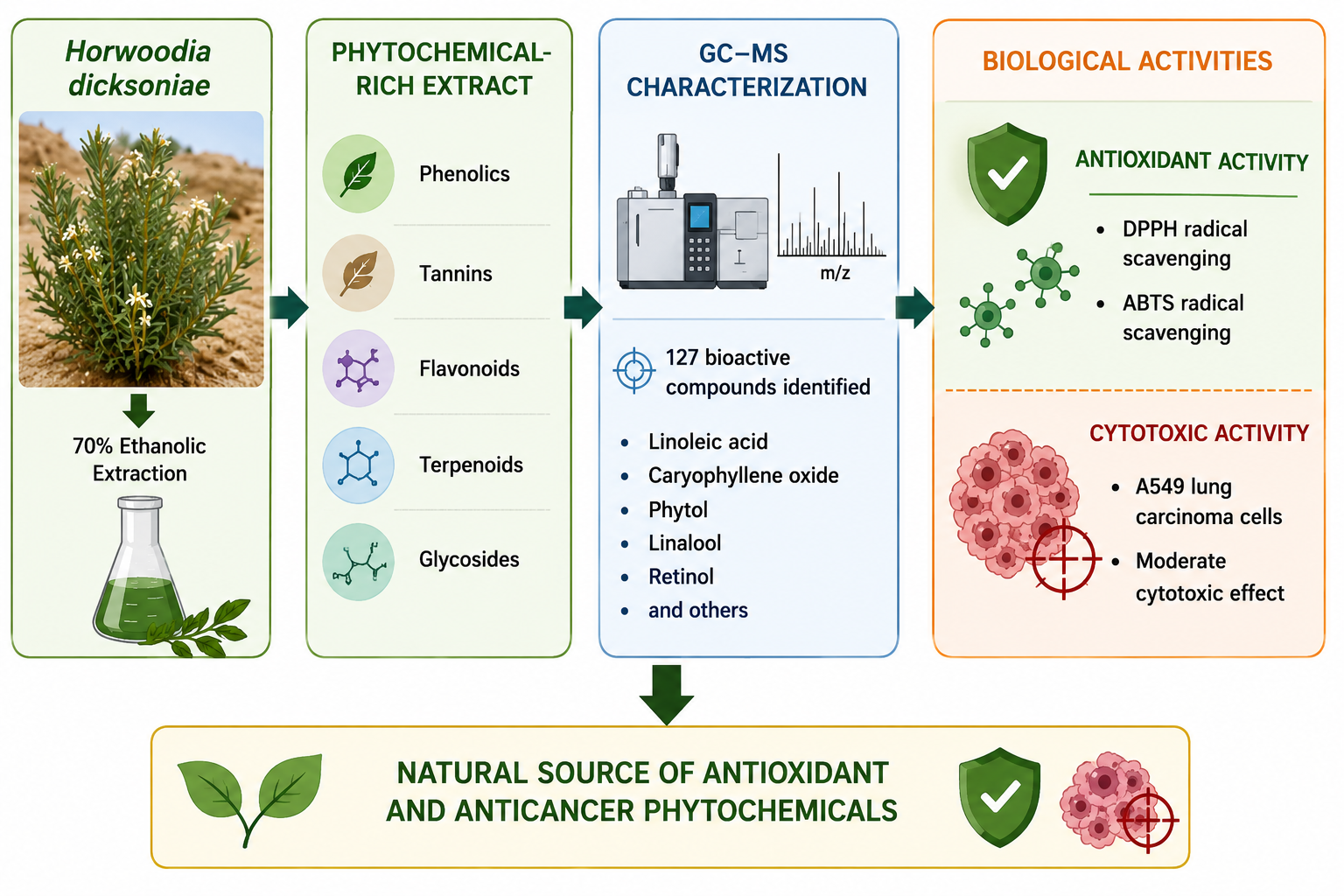 Exploring the Therapeutic Potential of <i>Horwoodia dicksoniae</i> through Phytochemical Profiling, Antioxidant Assessment, and Biological Activity Evaluation