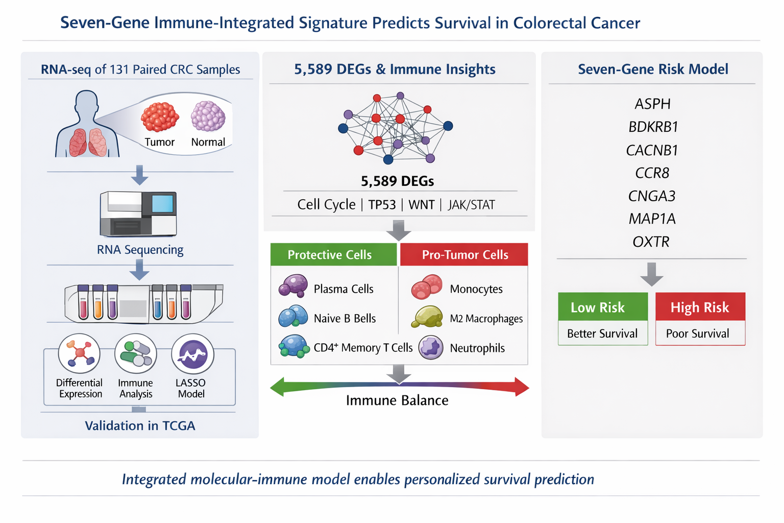 Seven-Gene Signature and Immune Microenvironment as Determinants of Survival Rate in Colorectal Carcinoma
