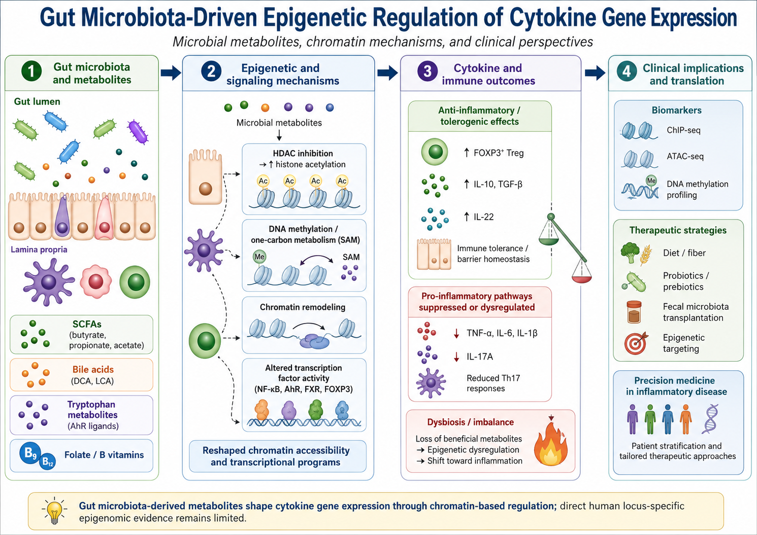 Gut microbiota-driven epigenetic regulation of cytokine gene expression: microbial metabolites, chromatin mechanisms, and clinical perspectives