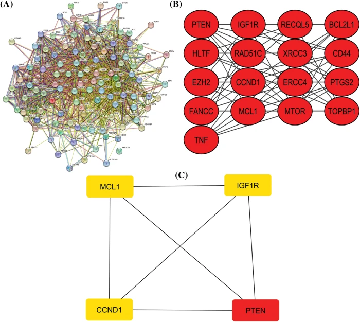 OR Free Full Text Deciphering key genes involved in cisplatin