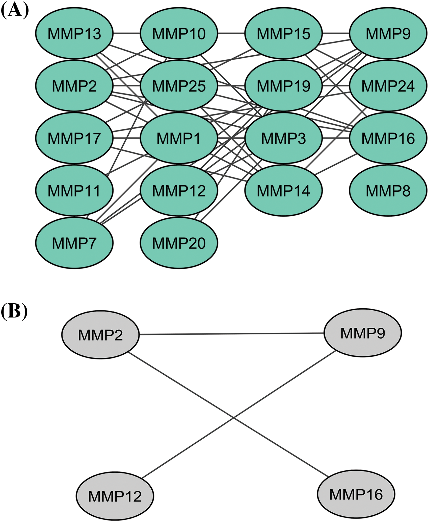 OR | Free Full-Text | Identifying and validating MMP family members ...