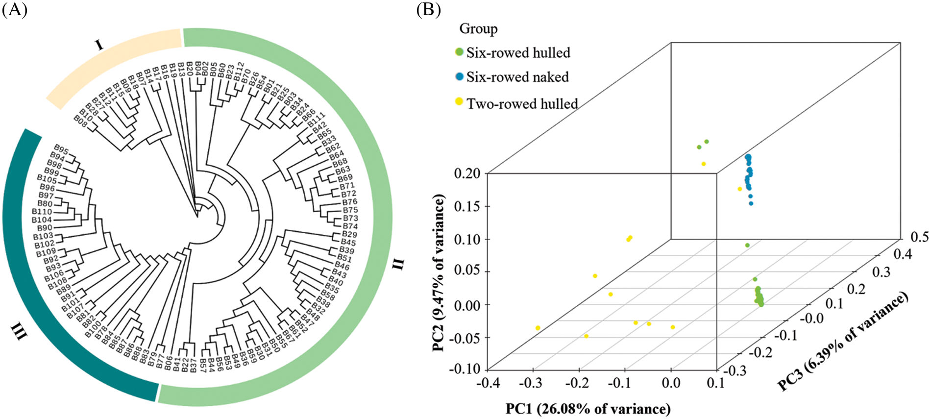 PHYTON | Free Full-Text | Genetic Diversity And Population Structure ...