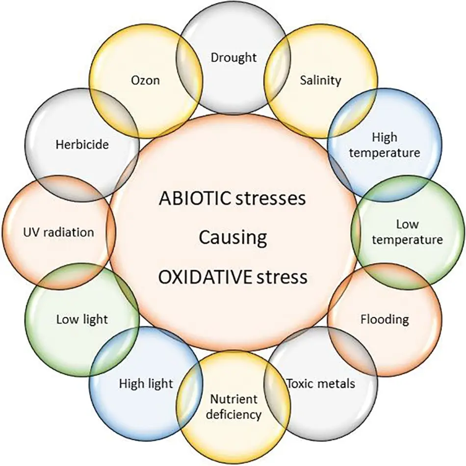 PHYTON Free FullText A Review on Selenium Function under Oxidative