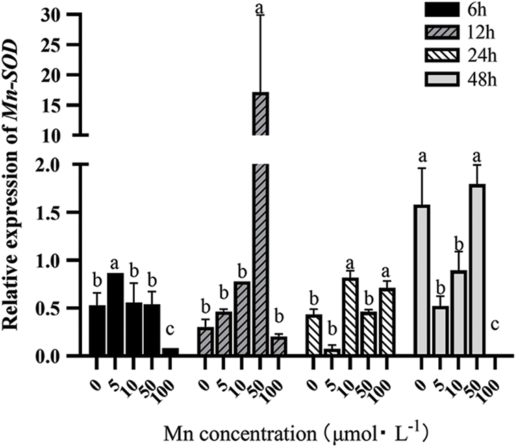 PHYTON | Free Full-Text | Effects of Manganese on the Antioxidant ...