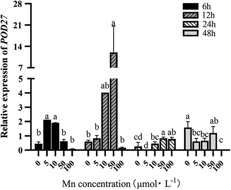 PHYTON | Free Full-Text | Effects of Manganese on the Antioxidant ...