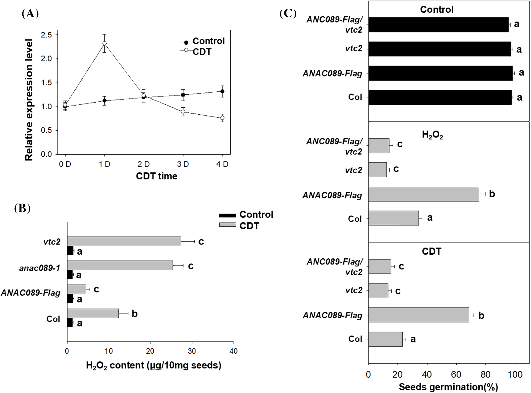 PHYTON | Free Full-Text | The NAC Transcription Factor ANAC089 ...