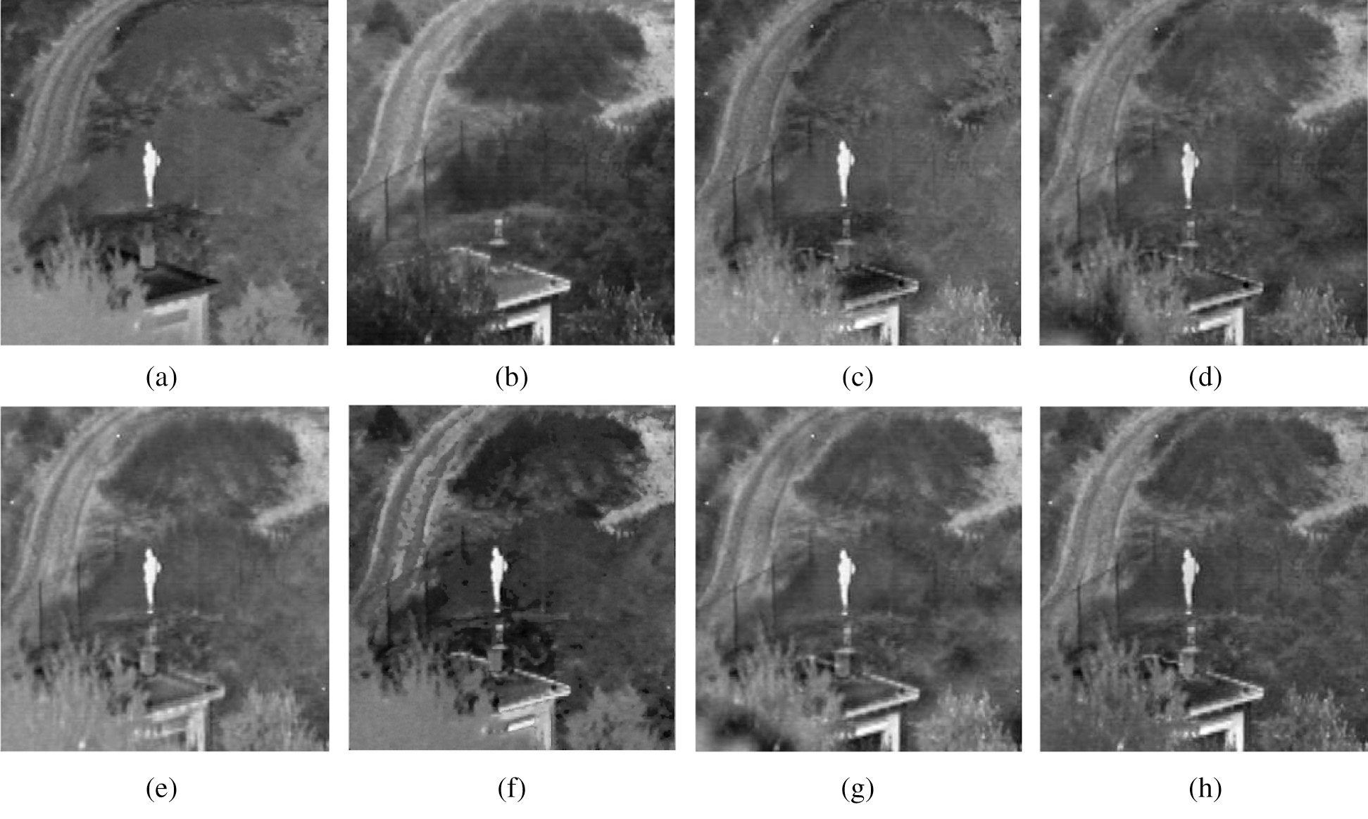 Intelligent Fusion of Infrared and Visible Image Data Based on ...