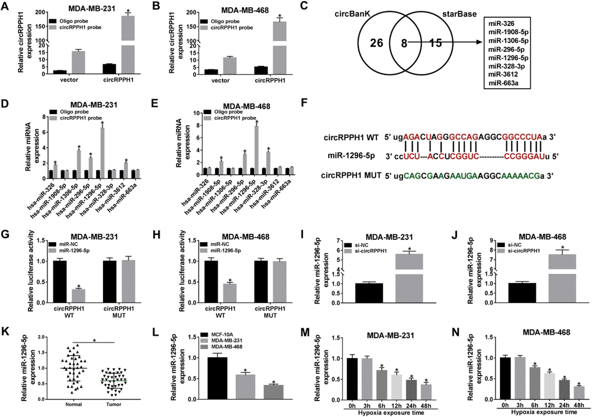 Hypoxia-associated Circular RNA RPPH1 Modulates Triple-negative Breast ...