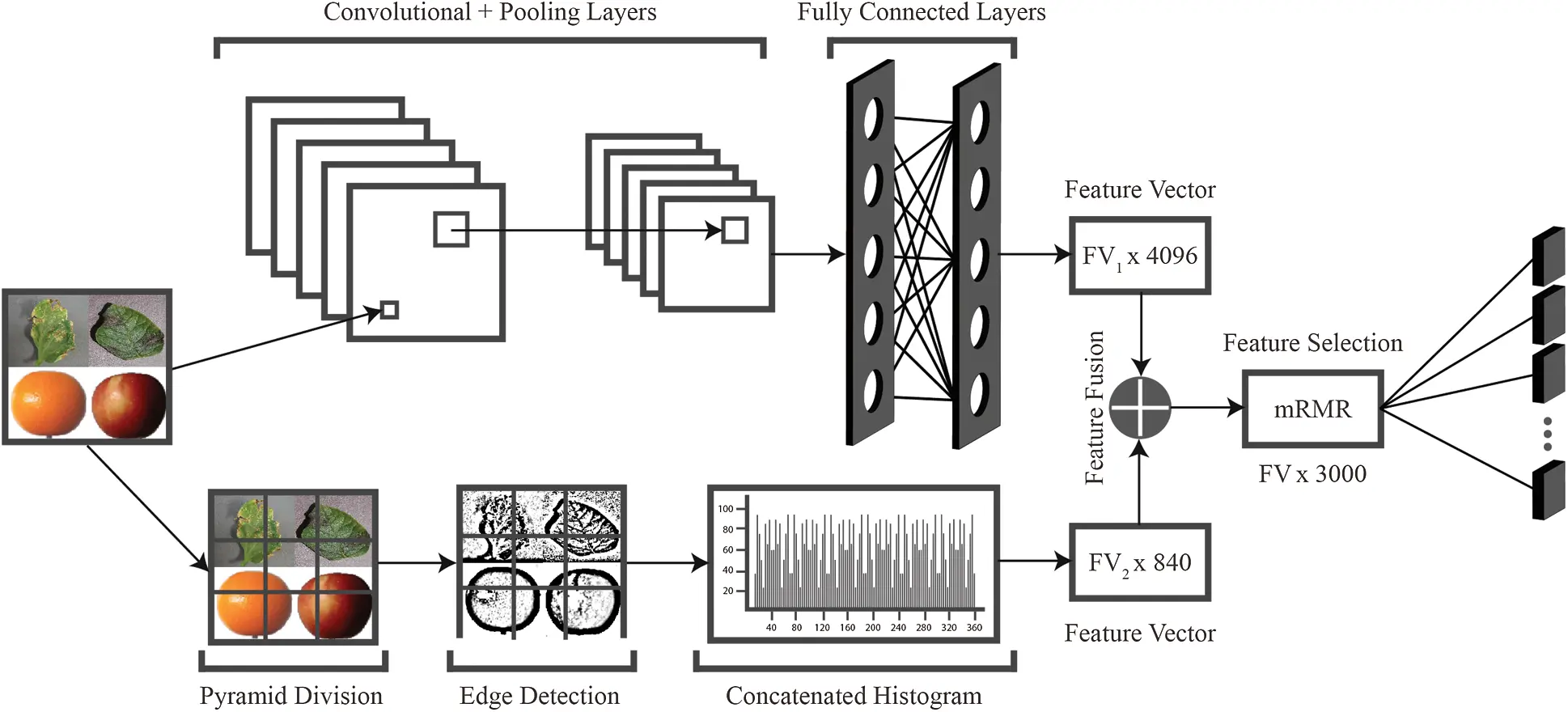 fruits freshness classification using deep learning... Deep Learning-Based Classification of Fruit Diseases: An Application ...