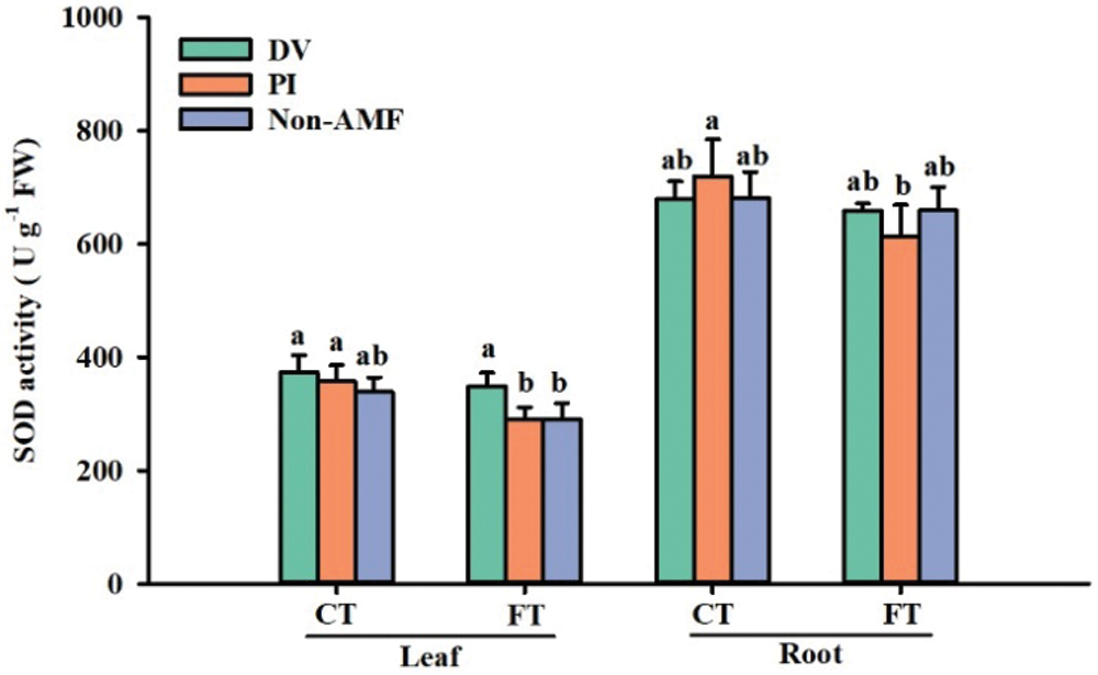 Mycorrhiza improves cold tolerance of Satsuma orange by inducing