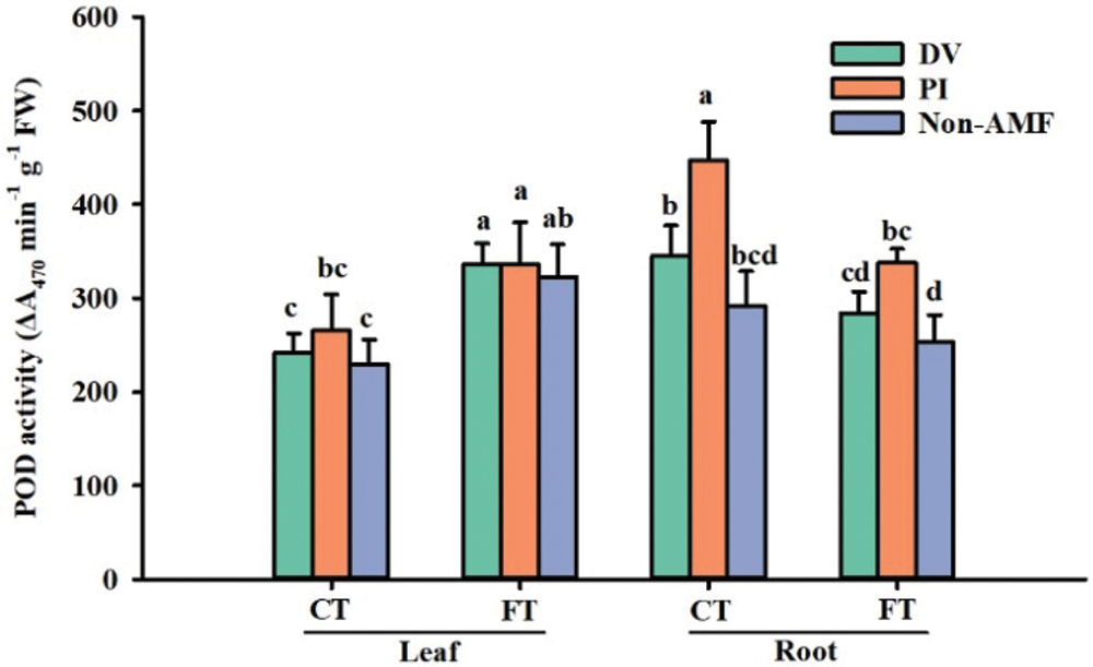 Mycorrhiza improves cold tolerance of Satsuma orange by inducing