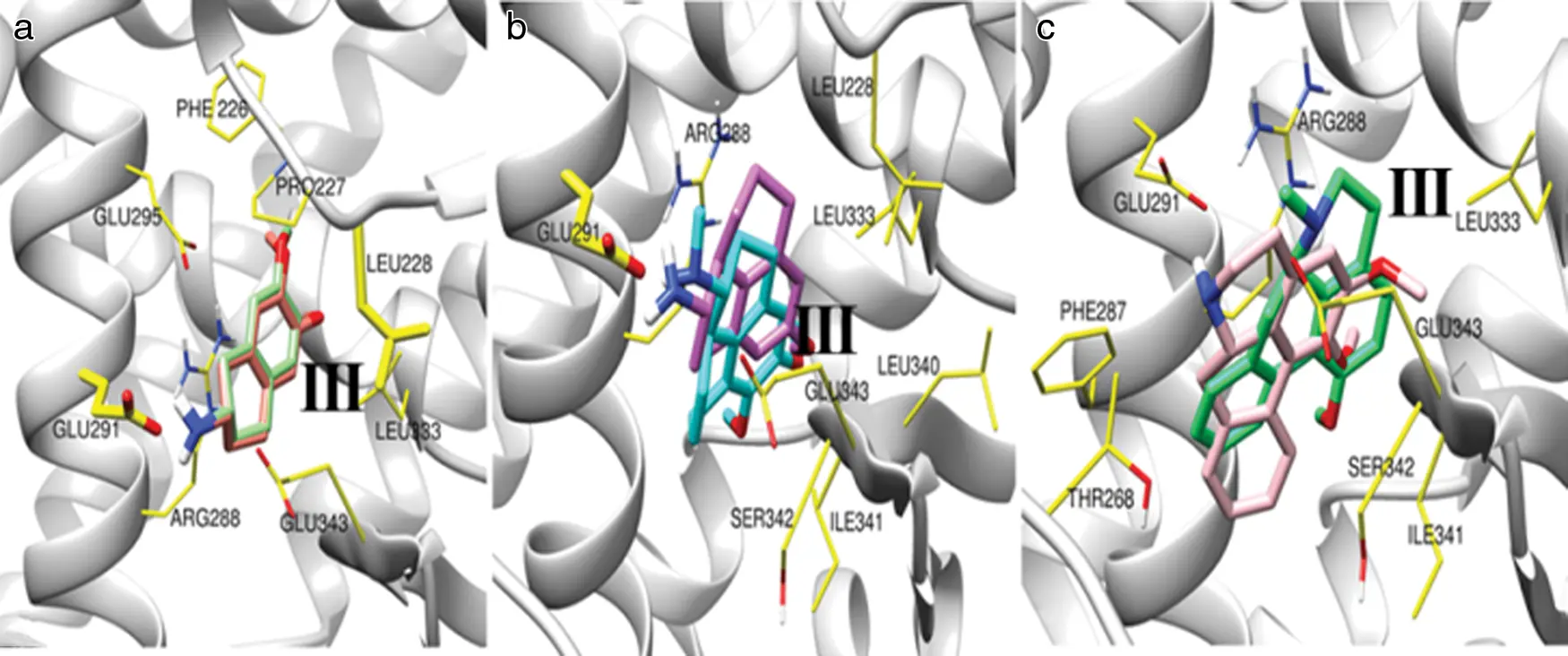 PPARγ LBD and its ligand specificity reveal a selection of potential ...
