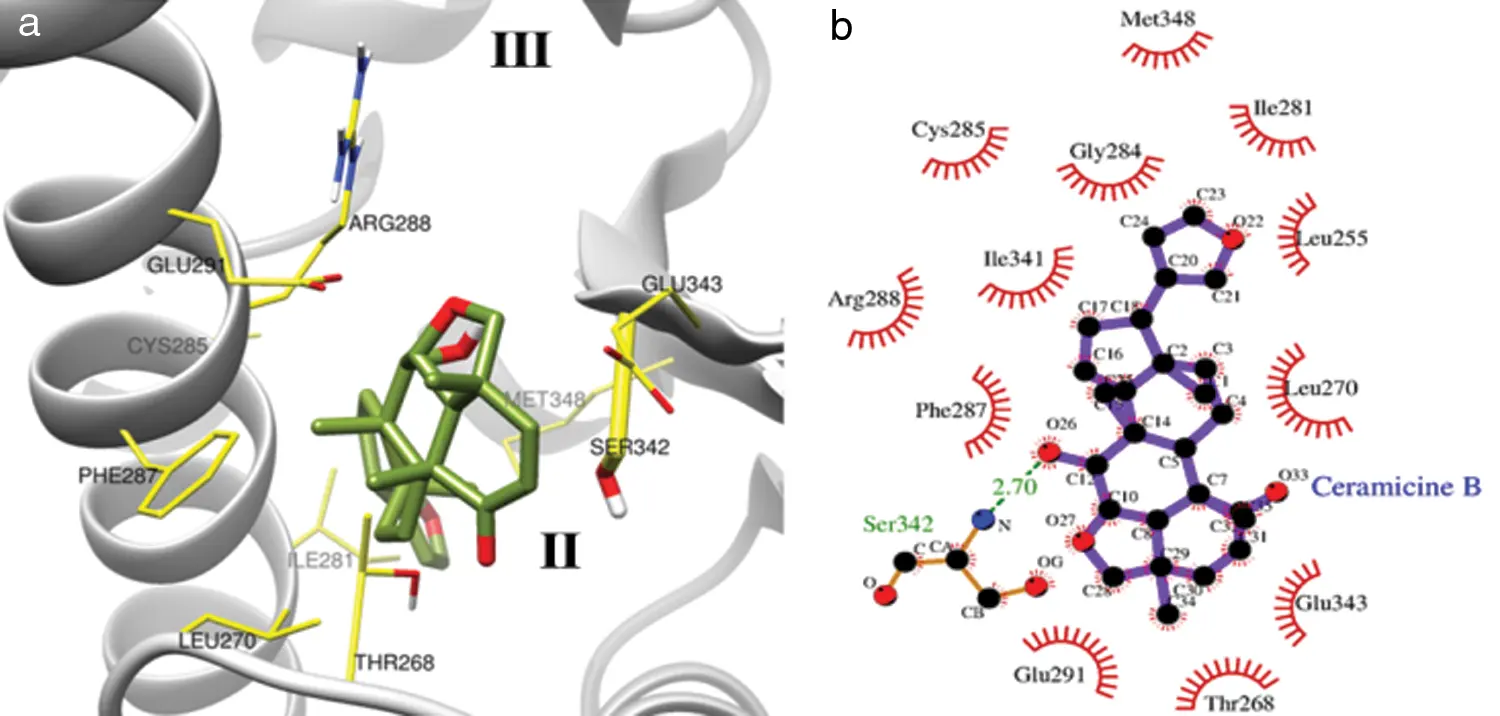 PPARγ LBD and its ligand specificity reveal a selection of potential ...