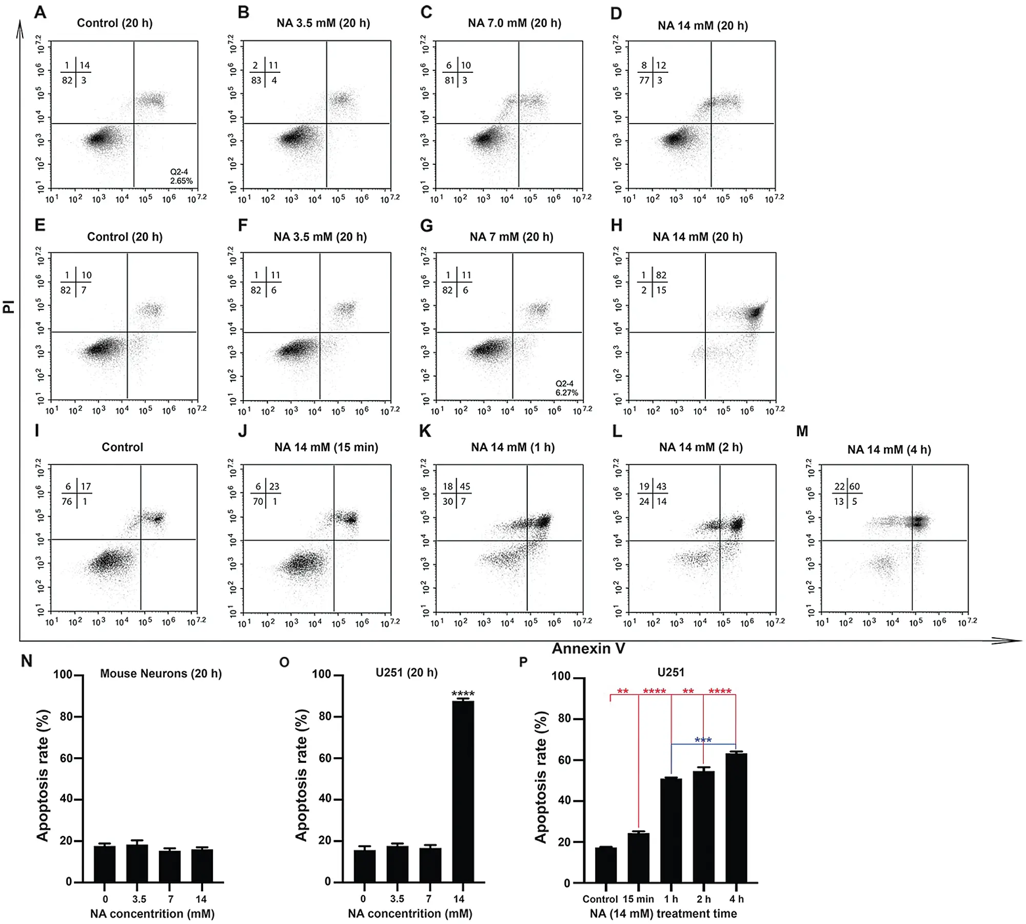 Nicotinic acid induces apoptosis of glioma cells via the calcium ...