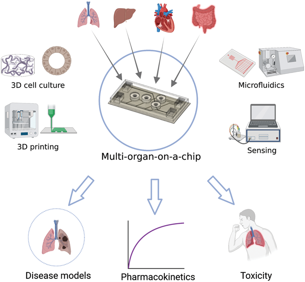 From Organ on a chip Towards Body on a chip