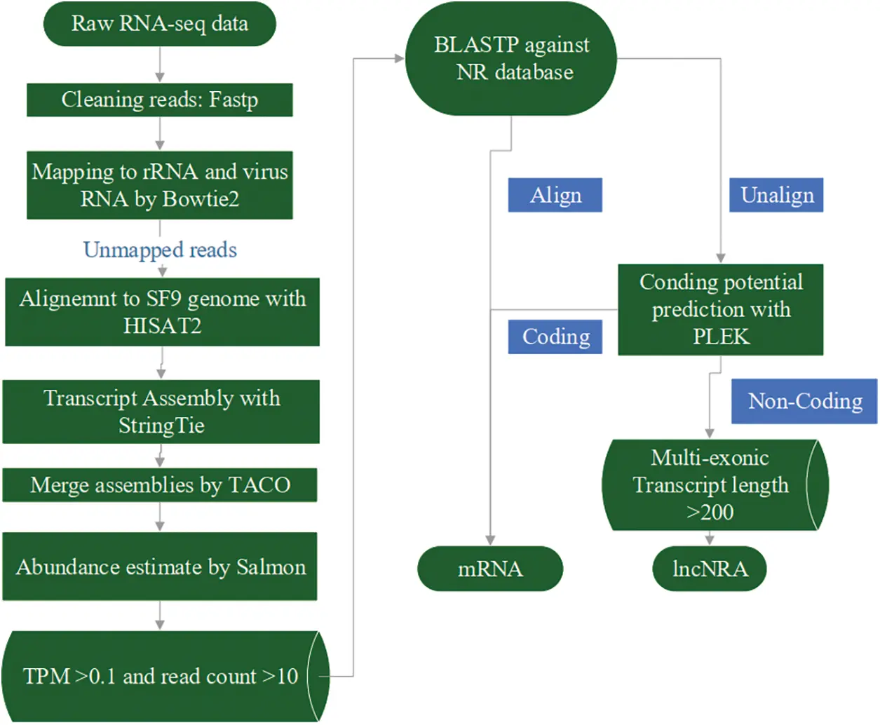 Identification of differential mRNA and lncRNA expression in AcMNPV ...