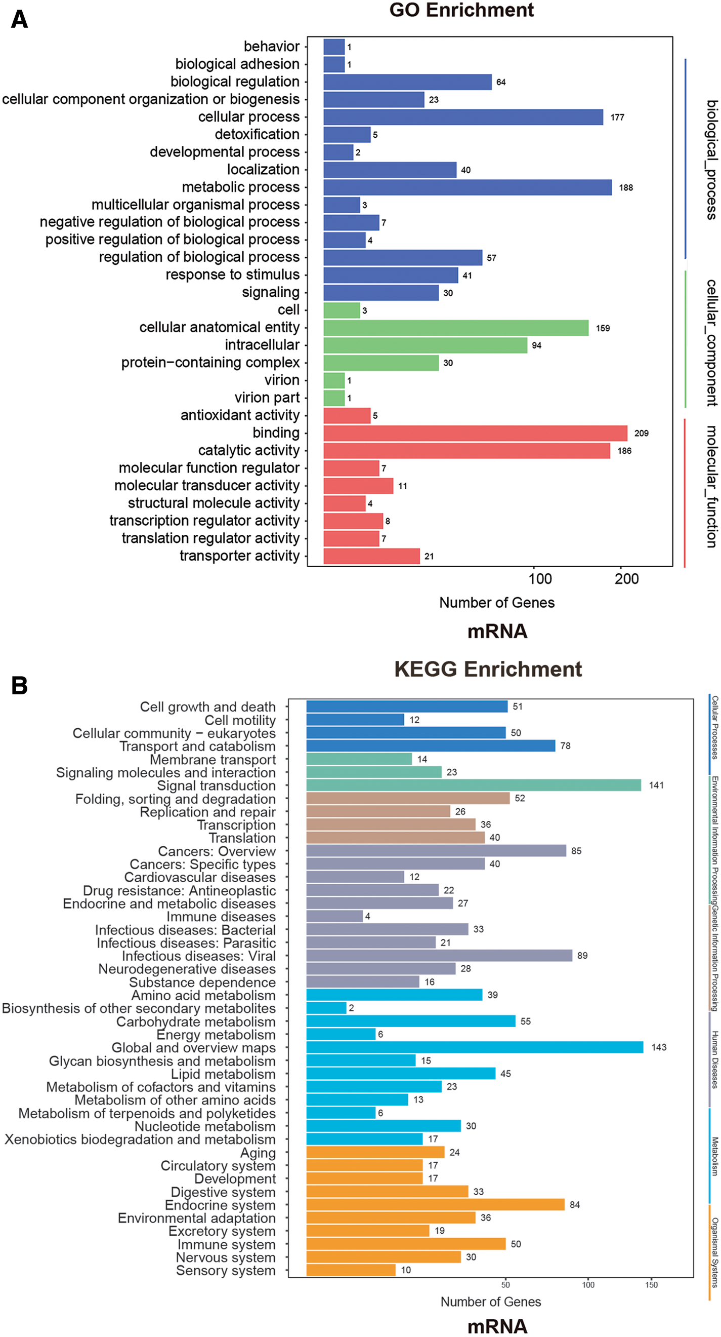 Identification of differential mRNA and lncRNA expression in AcMNPV ...
