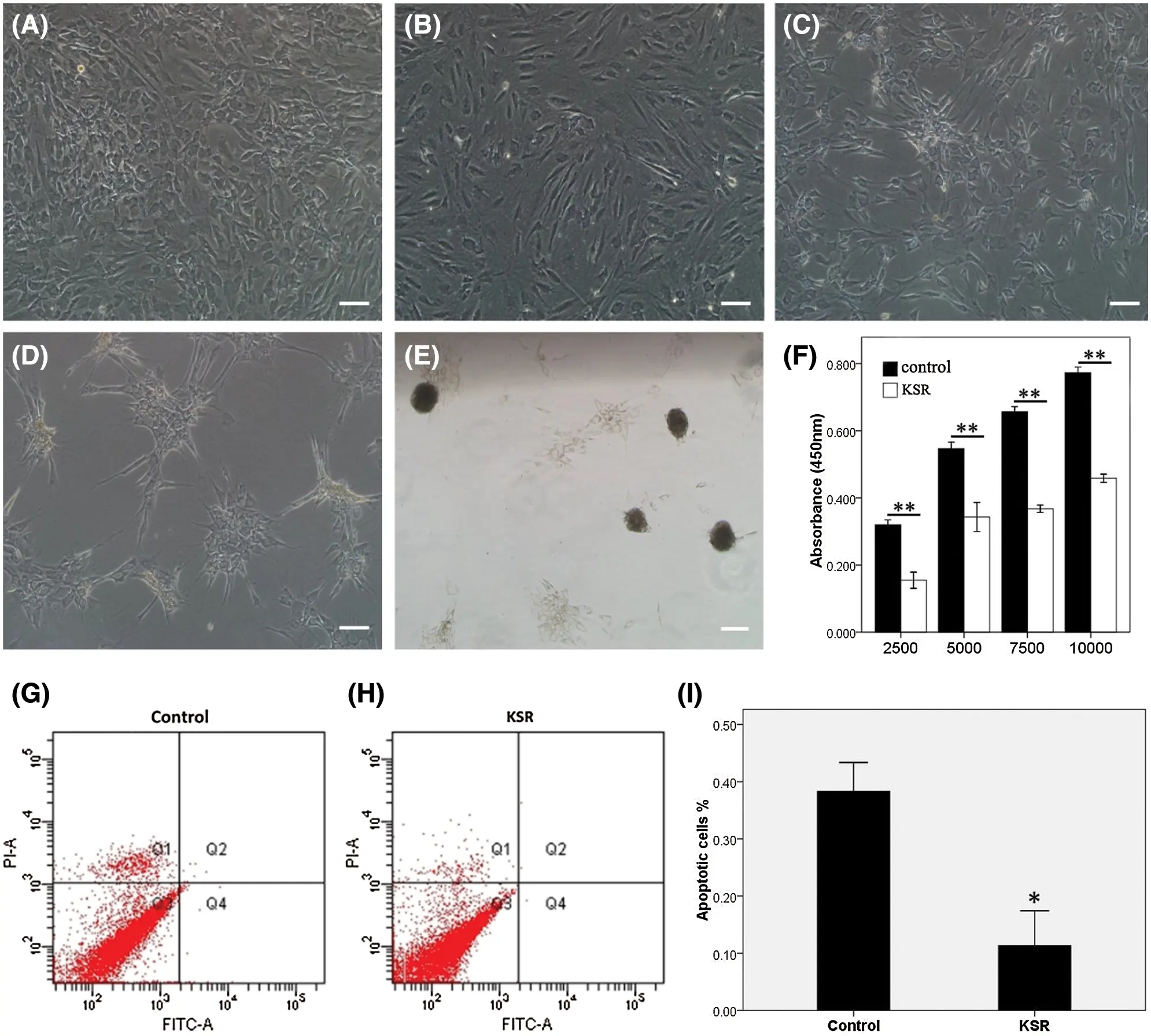 Characterization of threedimensional multipotent adiposederived stem